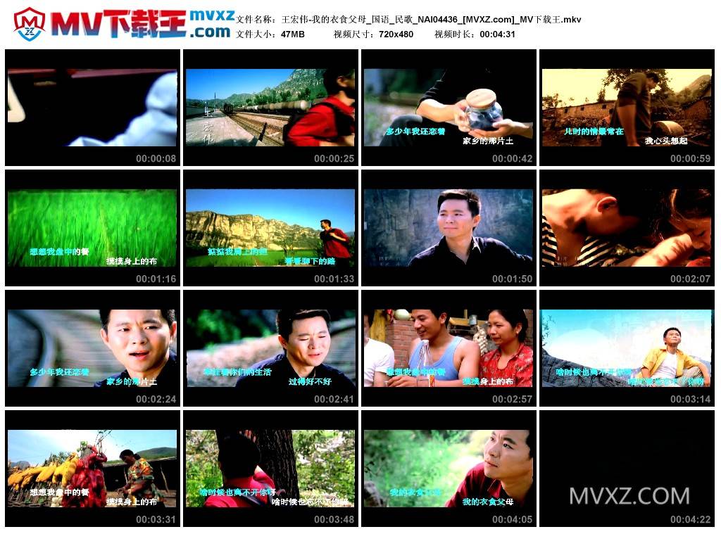 王宏伟-我的衣食父母_国语_民歌_NAI04436